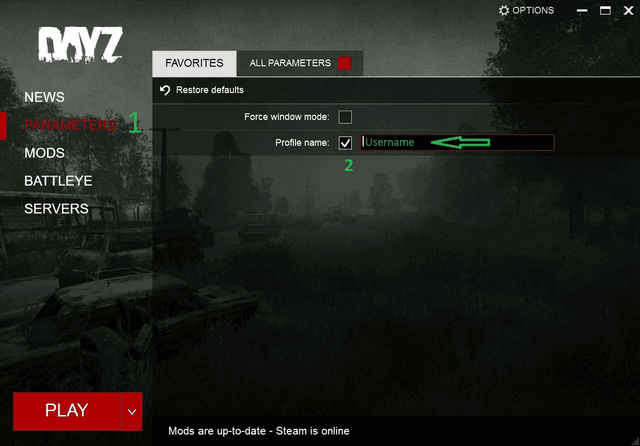 DayZ Launcher profile name setup